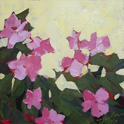 003 pink flowers